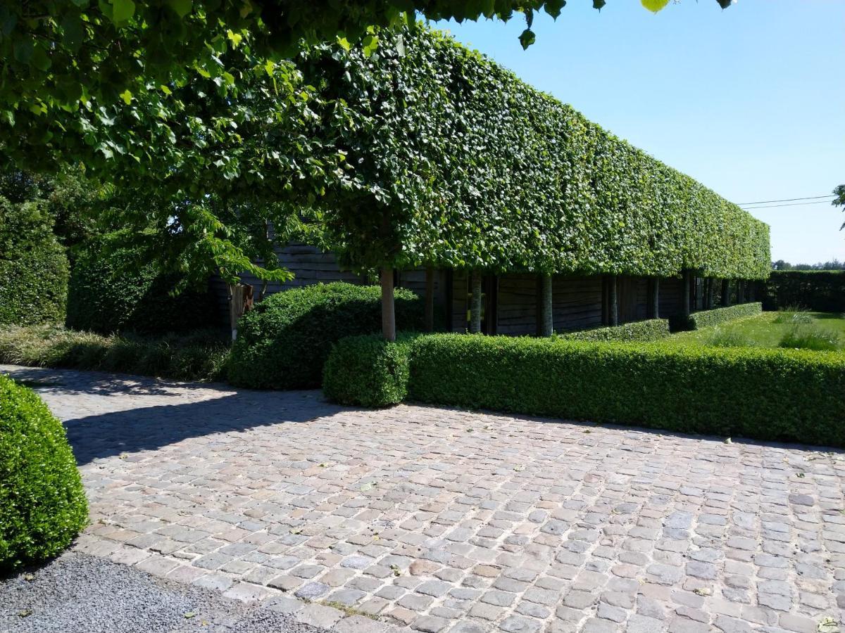 B&B De Hulst Izegem Zewnętrze zdjęcie