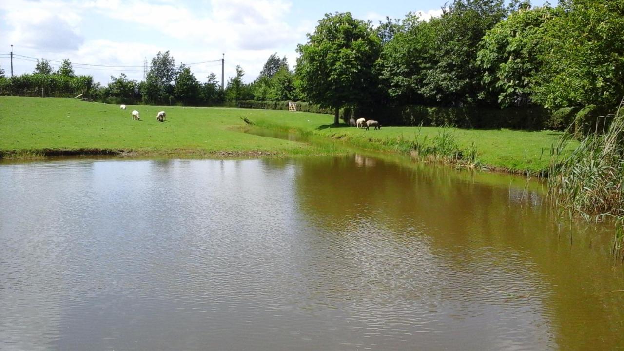 B&B De Hulst Izegem Zewnętrze zdjęcie