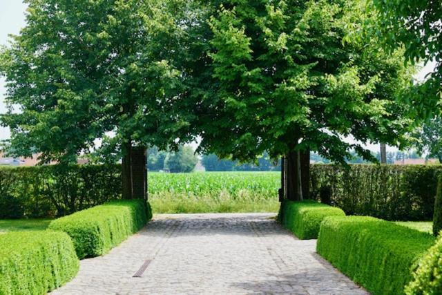 B&B De Hulst Izegem Zewnętrze zdjęcie
