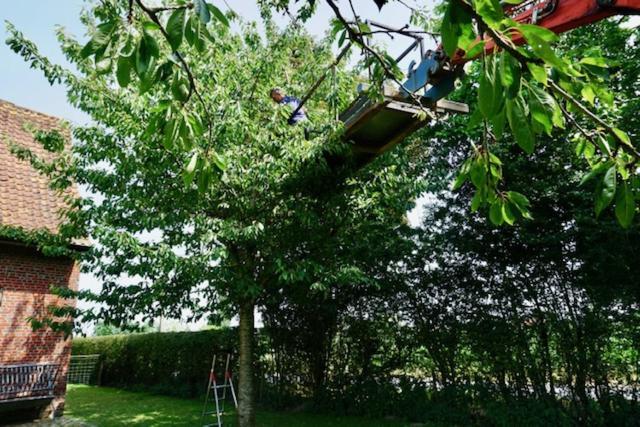 B&B De Hulst Izegem Zewnętrze zdjęcie