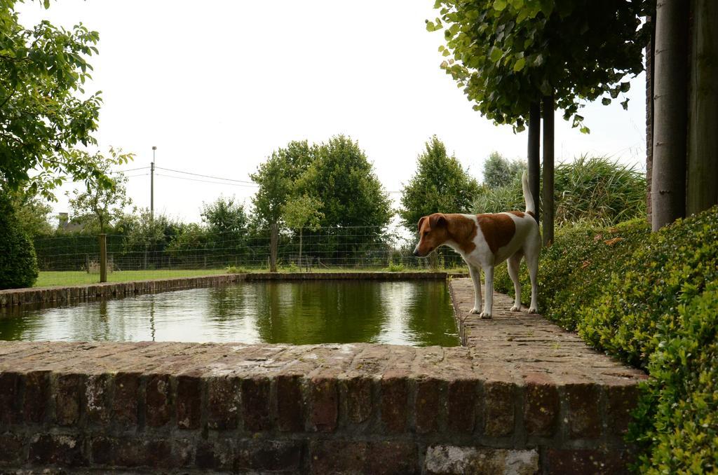 B&B De Hulst Izegem Zewnętrze zdjęcie
