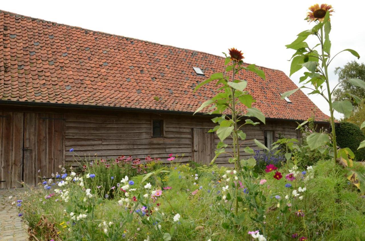B&B De Hulst Izegem Zewnętrze zdjęcie